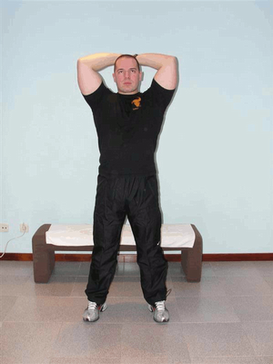 Pullover Triceps Livre
